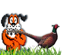Pheasant Hunting in South Dakota Pheasant Hunting in South Dakota
