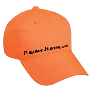 Hunter Safety Rules - Pheasant-Hunting