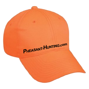 Hunter Safety Rules - Pheasant-Hunting Hunter Safety Rules - Pheasant-Hunting