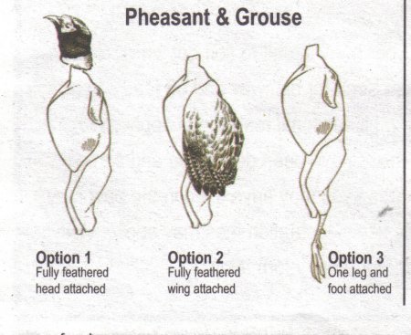 Pheasant Distinguishing Features Pheasant Distinguishing Features